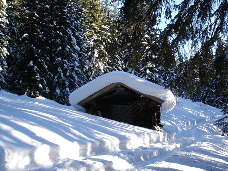 Leitnerberg (0bernberg A)