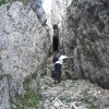 immer zwischen oder auf den Felsen
