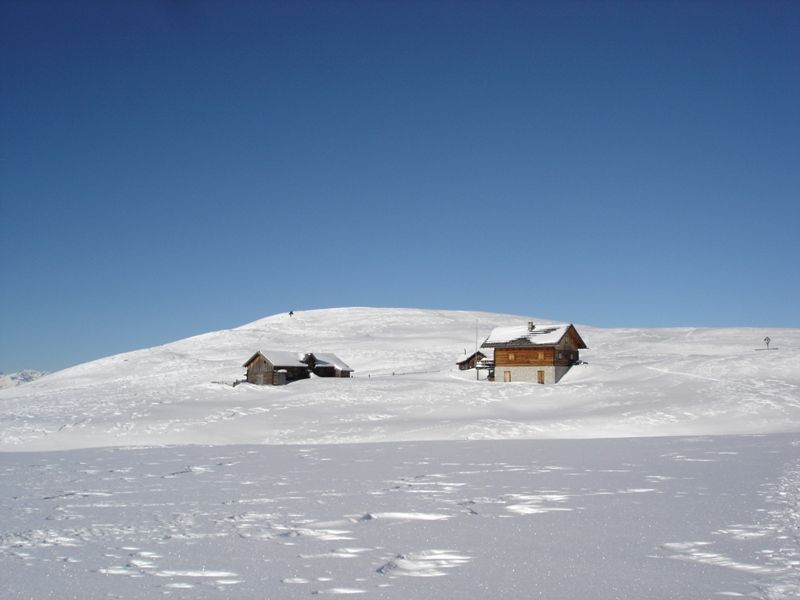 Nach der Wieser Alm geht es hinauf zum Glittner Joch Nach der Wieser Alm geht es hinauf zum Glittner Joch
