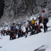 die gruppe