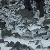 Aufstieg Richtung Gipfel
