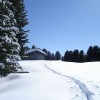 DSC00330 DSC00330