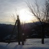 DSC00342