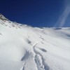 DSC00774