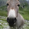 Was guckst du?