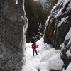 DSC08124
