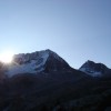 Angezuckerter Hochgall und Wildgall