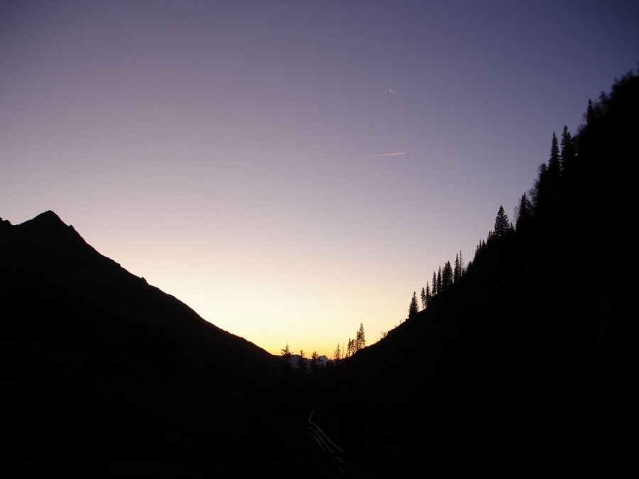 dsc08445 dsc08445