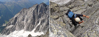 Wildgall Südostgrad